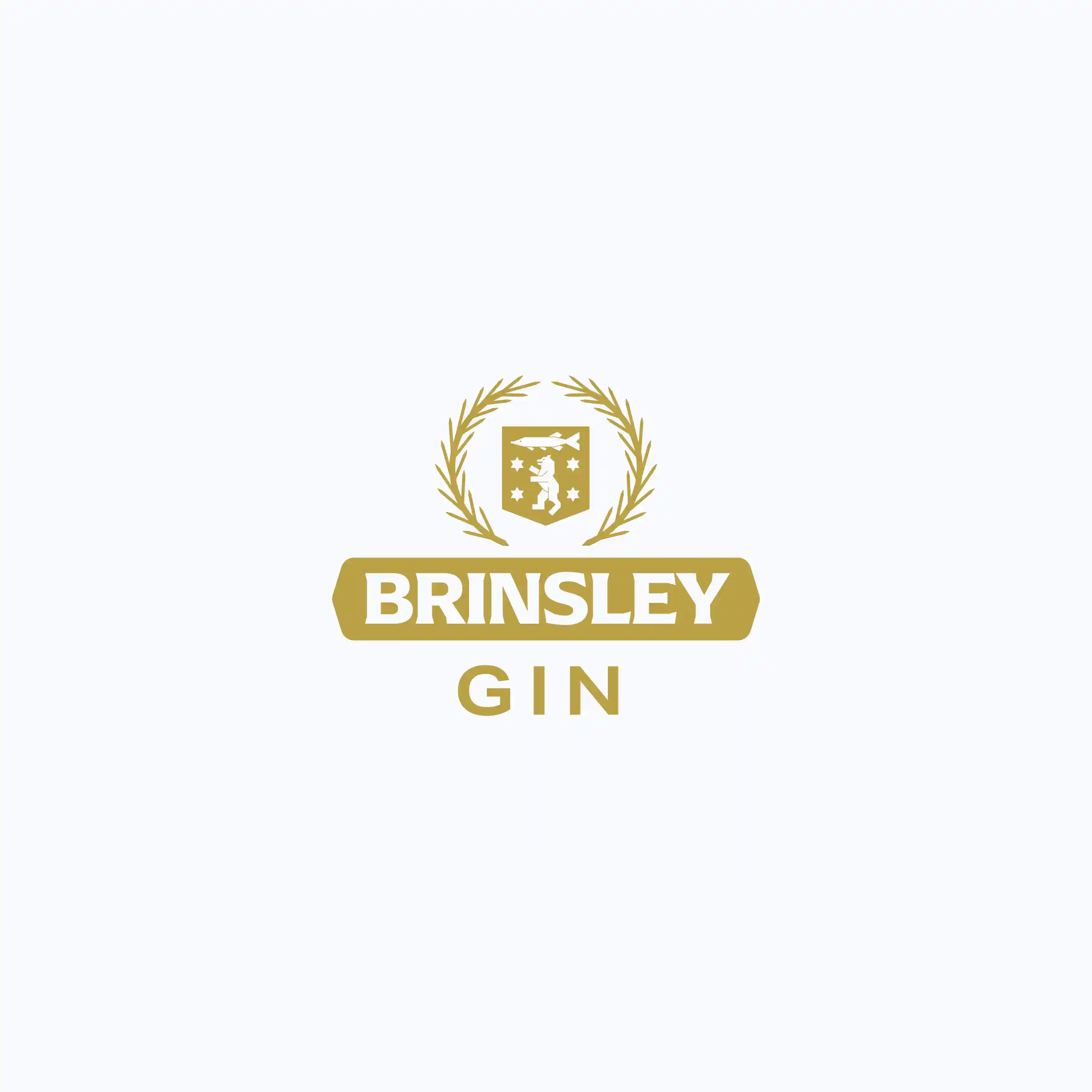 Brinsley Gin — category story and brand concept featured image