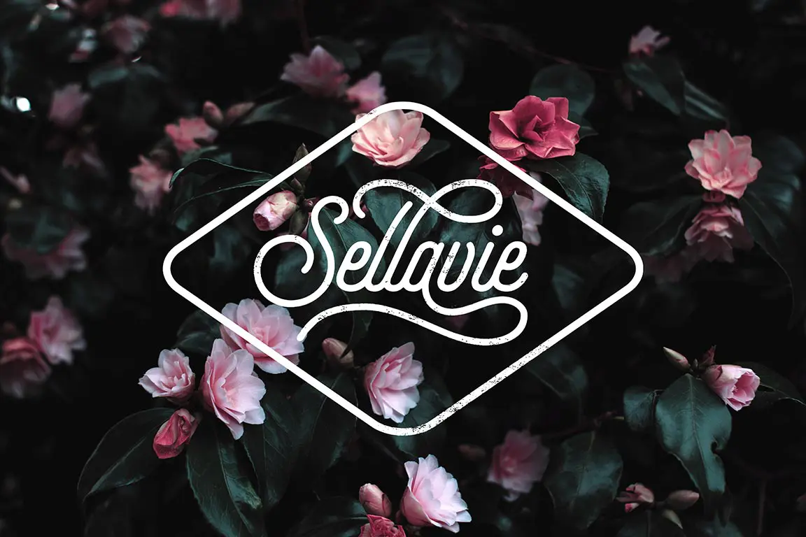 Sellavie — antique furniture as narrative brand featured image