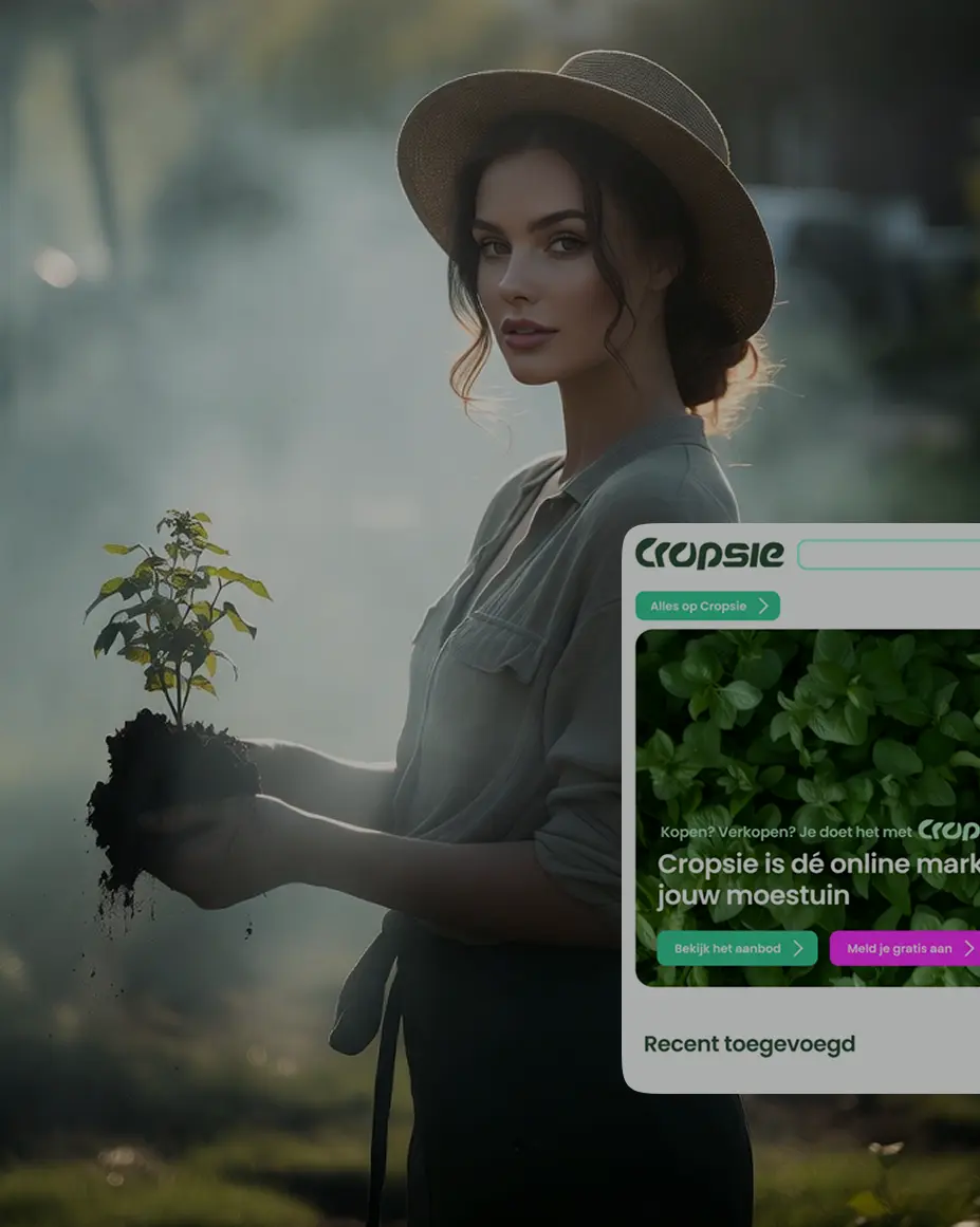 Cropsie case study preview